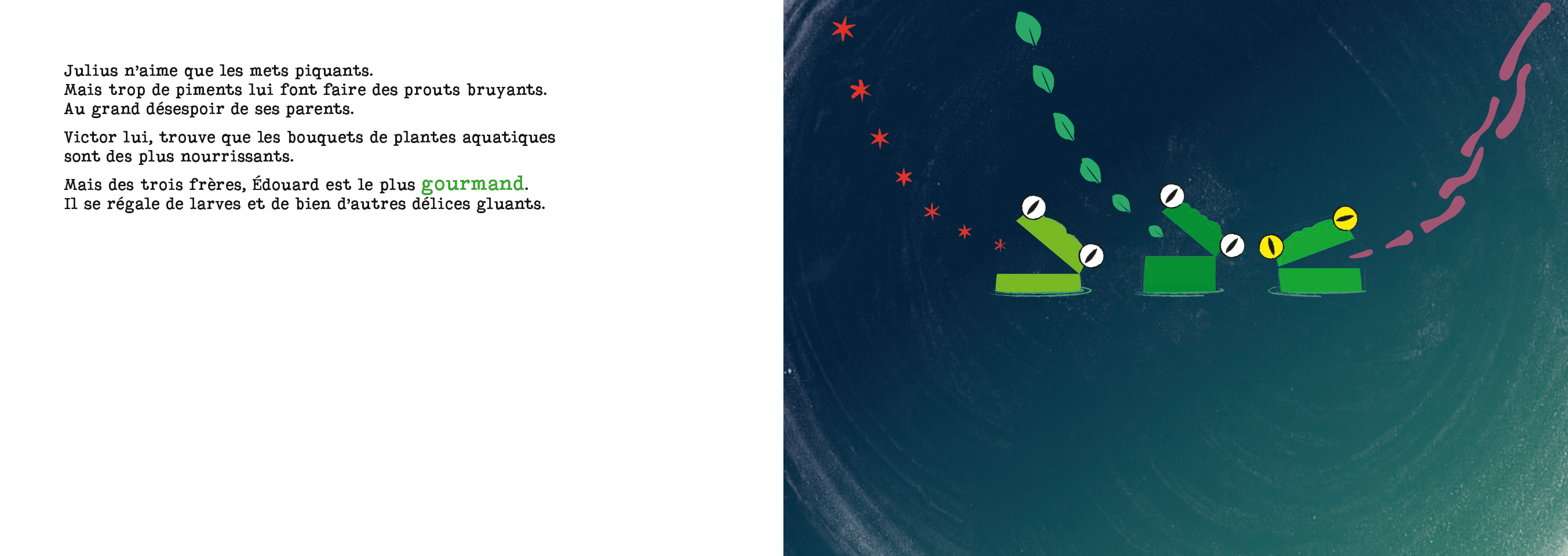 Une grenouille à hublots (la myopie)