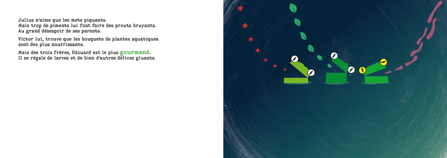 Une grenouille à hublots (la myopie)