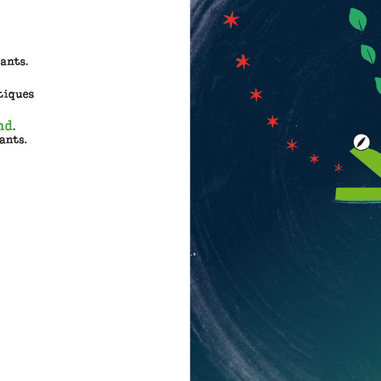 Une grenouille à hublots (la myopie)