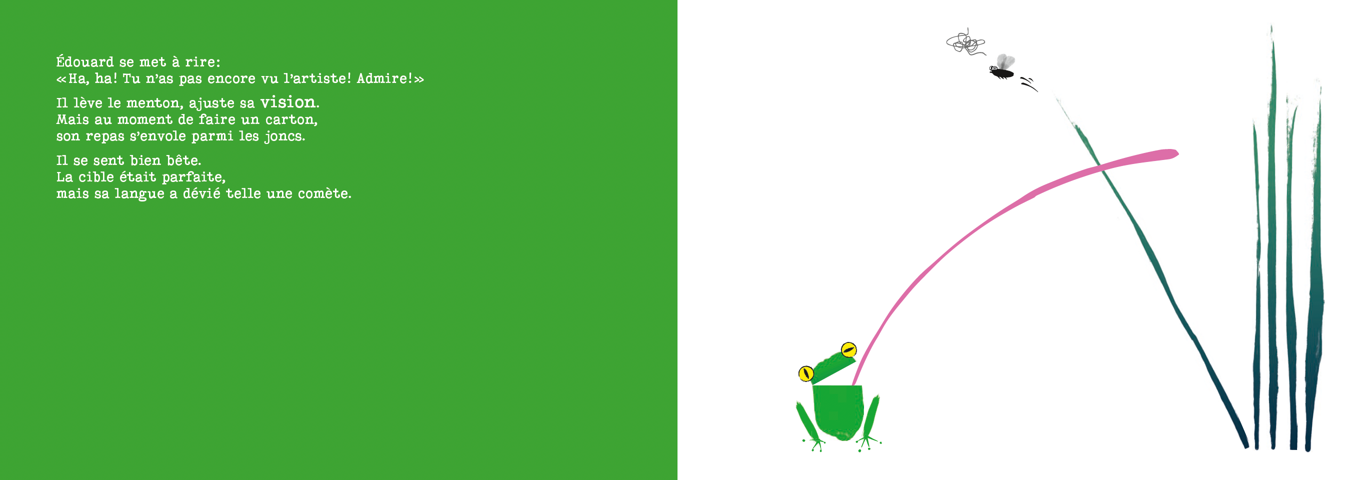 Une grenouille à hublots (la myopie)